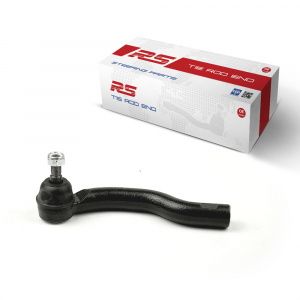 RS RECORD RS10099135