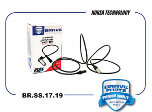 BRAVE BRSS1719