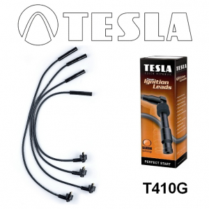 TESLA T410G