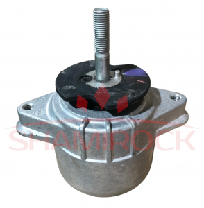 SHAMIROCK FOPO37505821