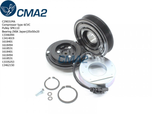 CMA2 C29031MA