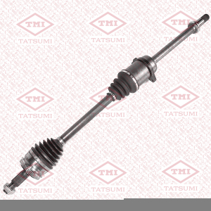 TATSUMI TDD1088