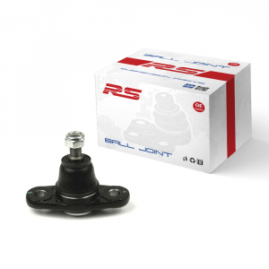 RS RECORD RS10055176