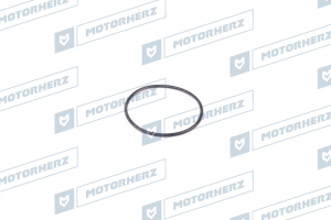 MOTORHERZ HR0289