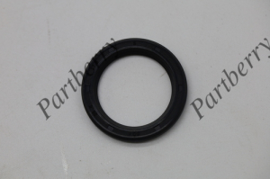 PARTBERRY PB563551