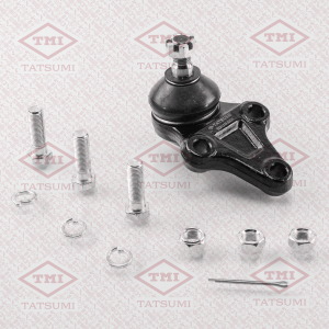 TATSUMI TEA1134