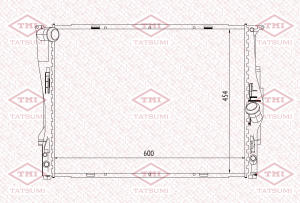 TATSUMI TGA1005