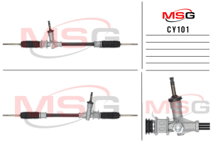 MSG CY101