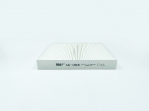 BIG FILTER GB9865