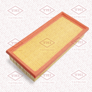 TATSUMI TBC1319