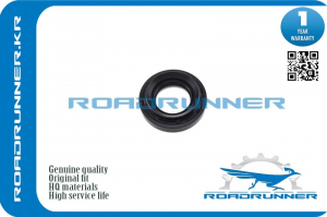 ROADRUNNER RR9031134013