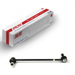 RS RECORD RS10041801