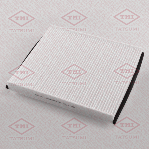 TATSUMI TBD1141