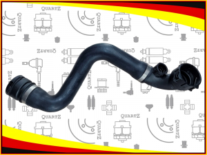 QUARTZ QZ11537500733