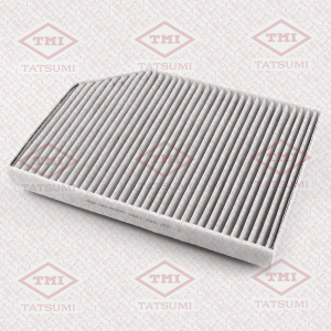 TATSUMI TBD1100C