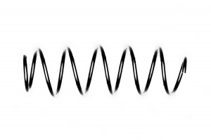 STANDARD SPRINGS ST125061F