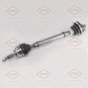TATSUMI TDD1011