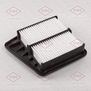 TATSUMI TBC1153