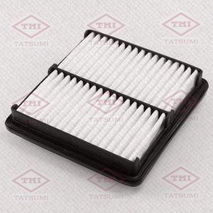 TATSUMI TBC1255