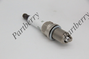 PARTBERRY PB133750