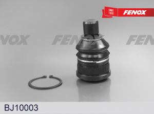 FENOX BJ10003