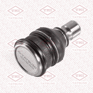 TATSUMI TEA1162