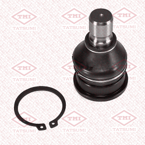 TATSUMI TEA1163