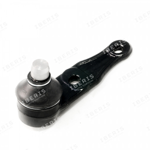 IBERIS IB117034