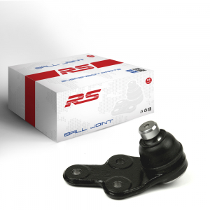 RS RECORD RS10052530