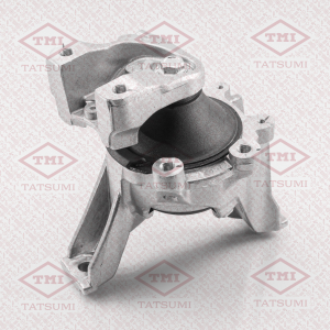 TATSUMI TEG1246