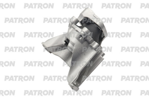 PATRON PSE30979