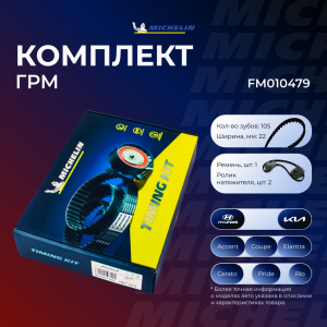 MICHELIN FM010479