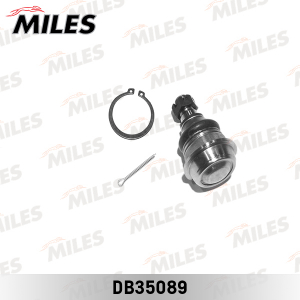 MILES DB35089