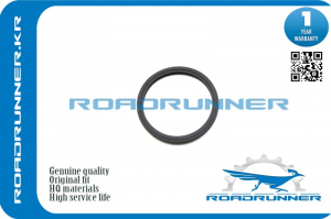 ROADRUNNER RR1634632010