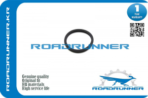 ROADRUNNER RR1634666020
