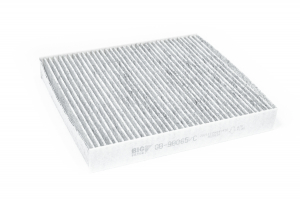 BIG FILTER GB98065C