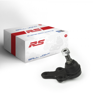 RS RECORD RS10050387