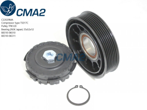CMA2 C22029MA