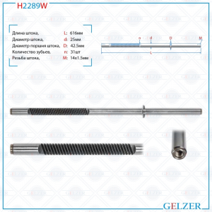 GELZER H2289W