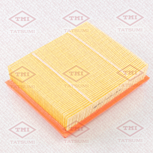 TATSUMI TBC1223