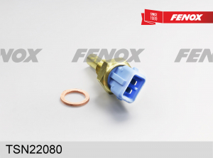 FENOX TSN22080