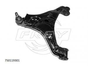 FREY 750119301