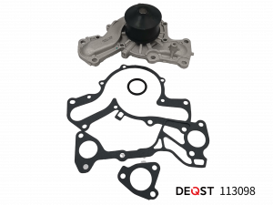 DEQST 113098