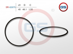 GS SR02675