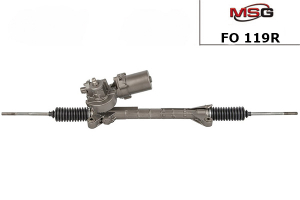 MSG FO119R