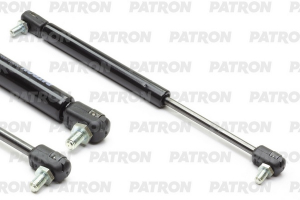 PATRON PGS083380