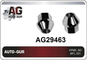 AUTO-GUR AG29463