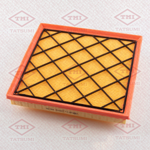 TATSUMI TBC1254