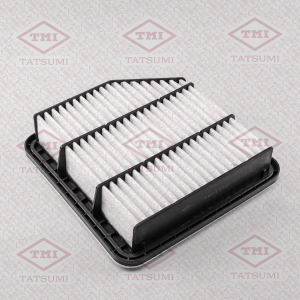 TATSUMI TBC1010