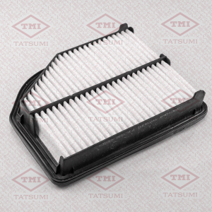 TATSUMI TBC1064
